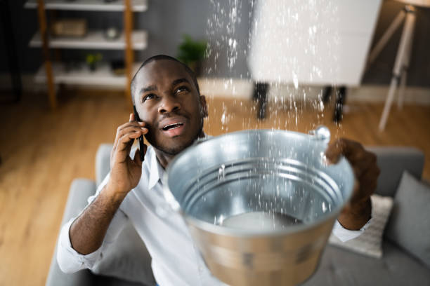 Best Commercial water damage restoration  in Sauk Rapids, MN