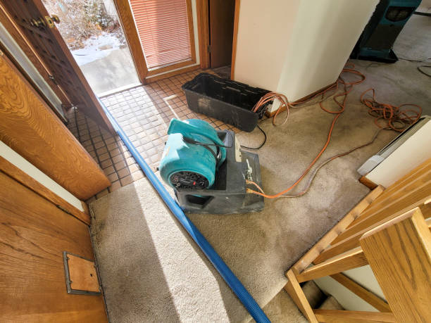 , MN Water damage restoration Company