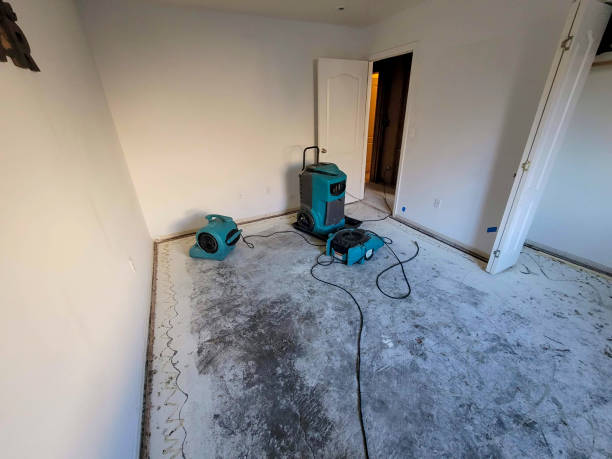 Best Flooded house restoration  in Sauk Rapids, MN