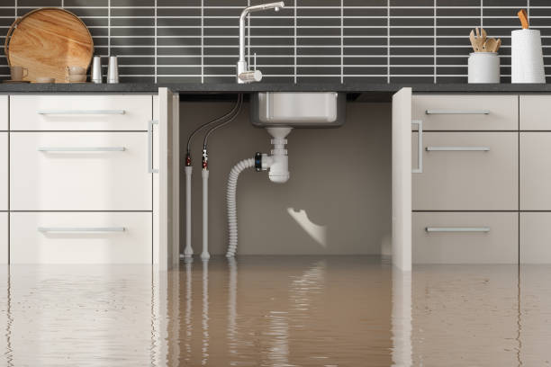 Best 24-hour water damage restoration  in Sauk Rapids, MN