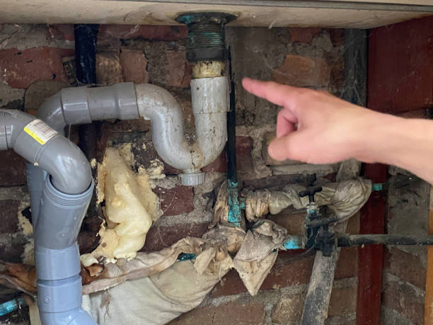 Best Fire Damage Restoration  in Sauk Rapids, MN